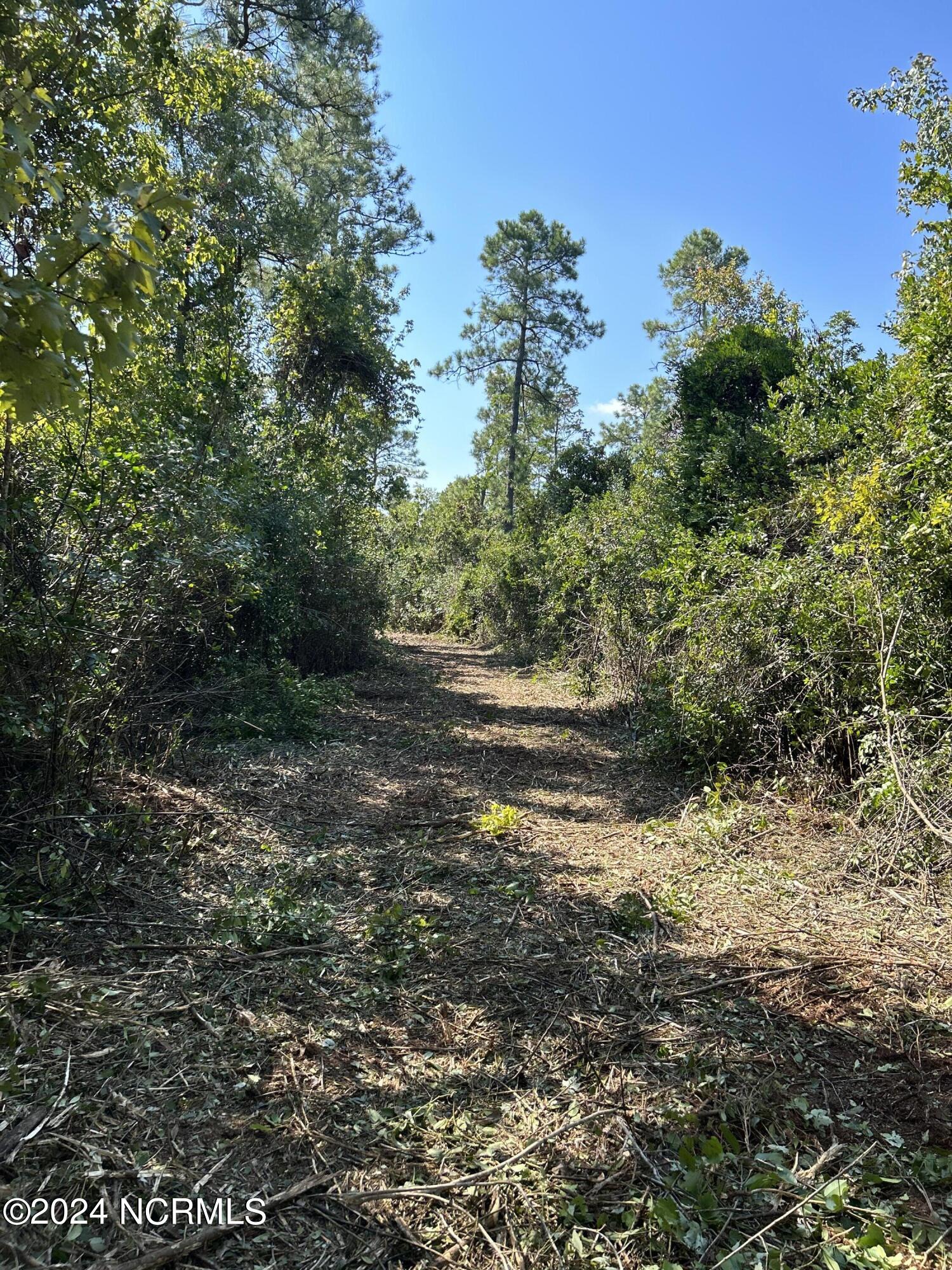 326 Sand Ridge Road Hubert, NC 28539 - Photo 13 of 13 68555206964__AB159DC7-EC01-49F9-B08B-6FB