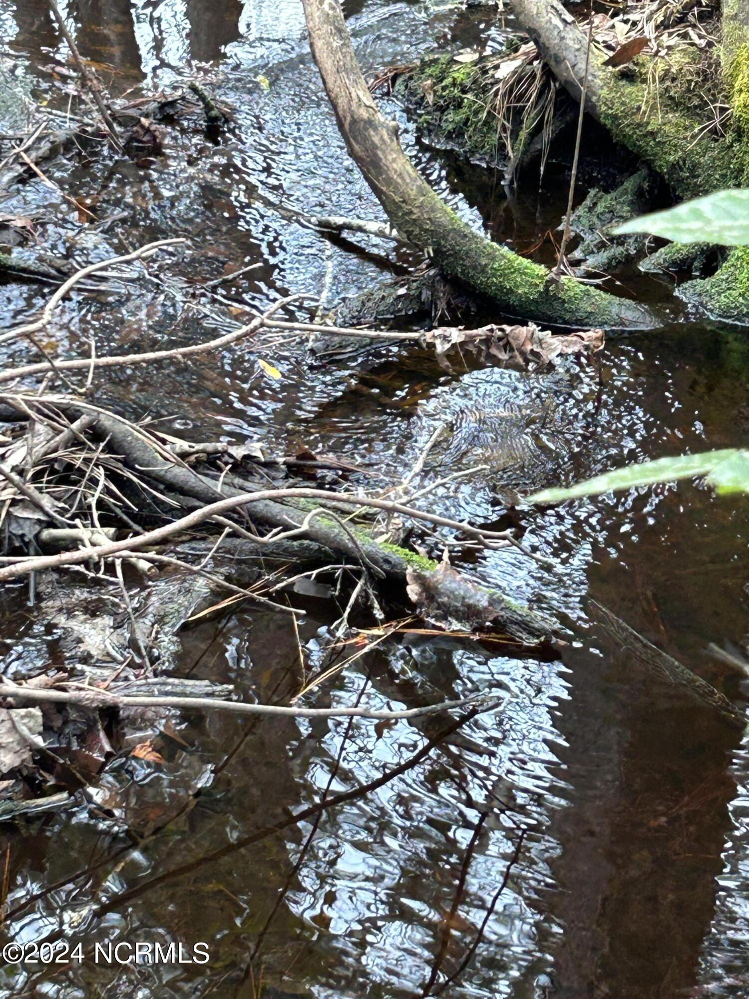 326 Sand Ridge Road Hubert, NC 28539 - Photo 5 of 13 IMG_8839