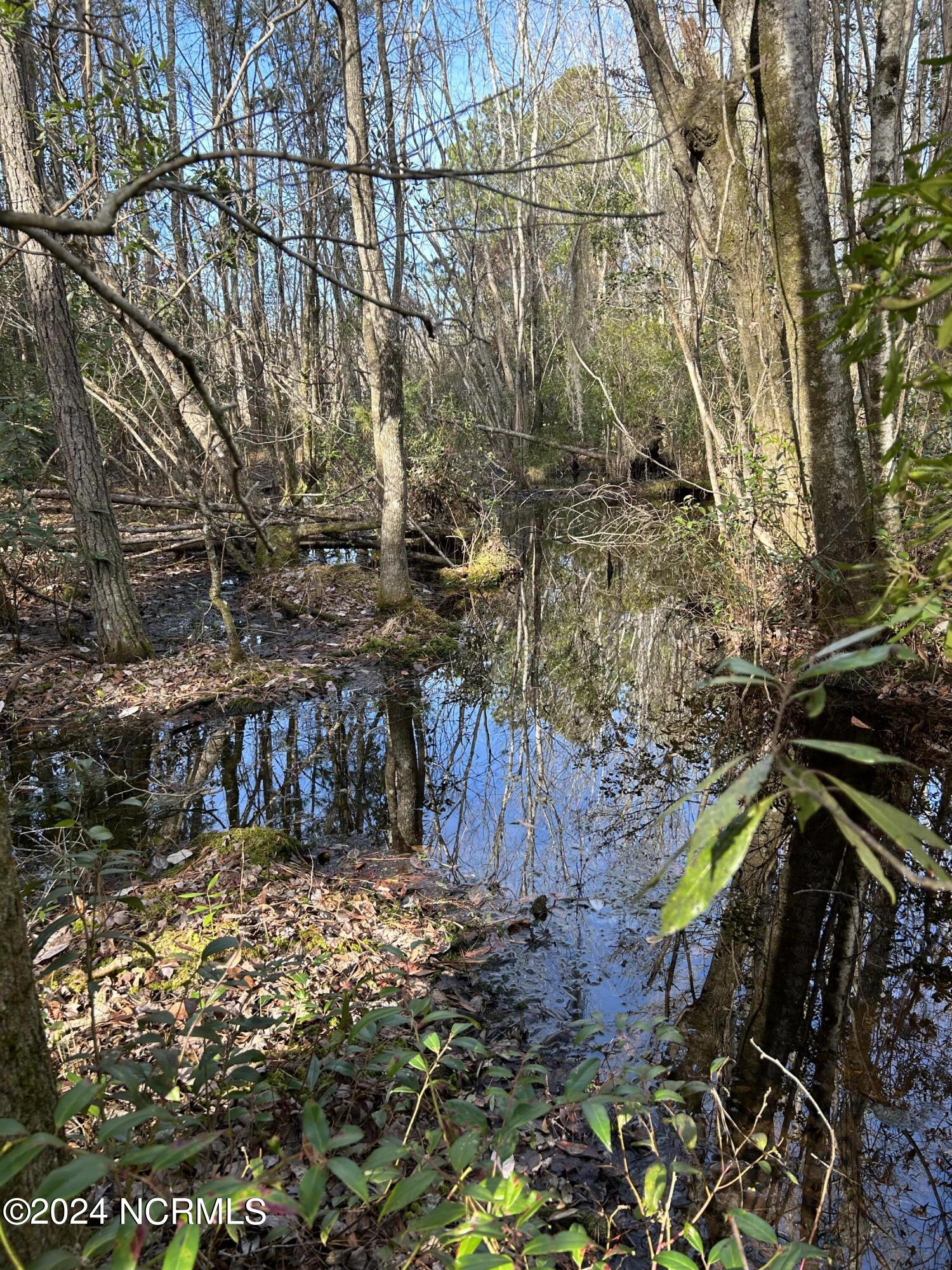 326 Sand Ridge Road Hubert, NC 28539 - Photo 6 of 13 IMG_8231