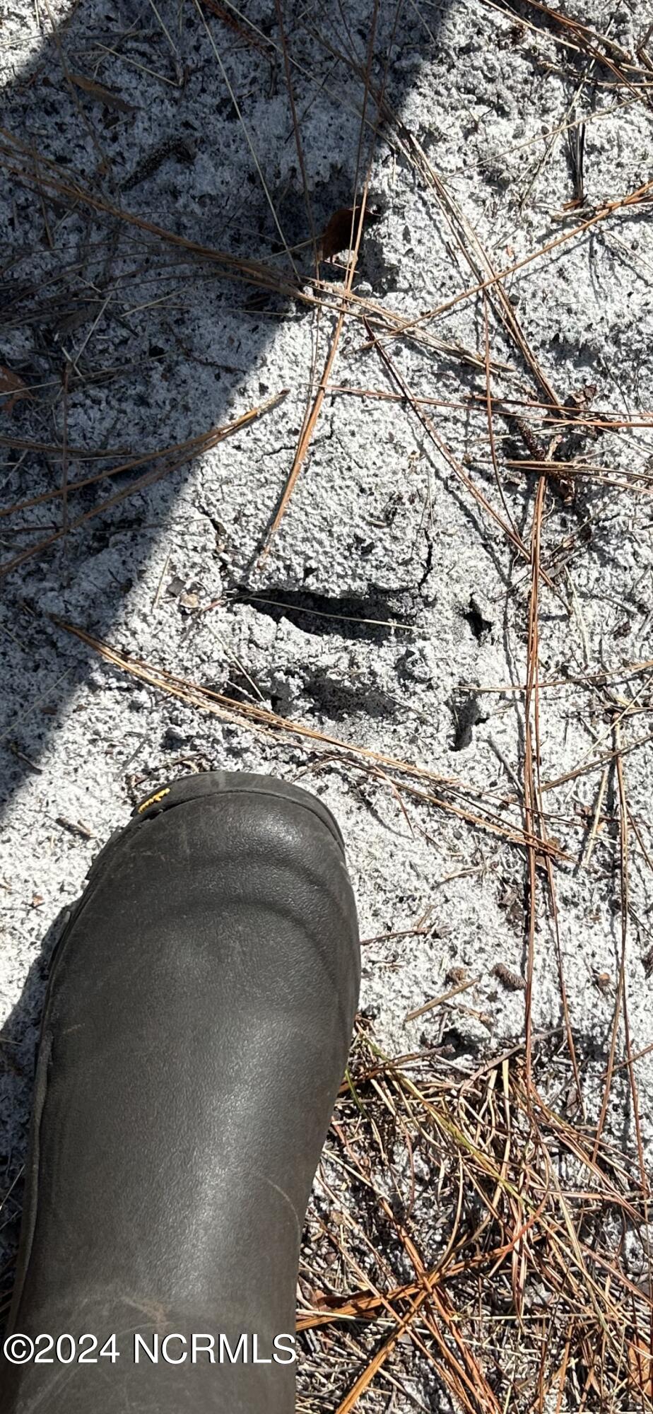 326 Sand Ridge Road Hubert, NC 28539 - Photo 8 of 13 IMG_8190