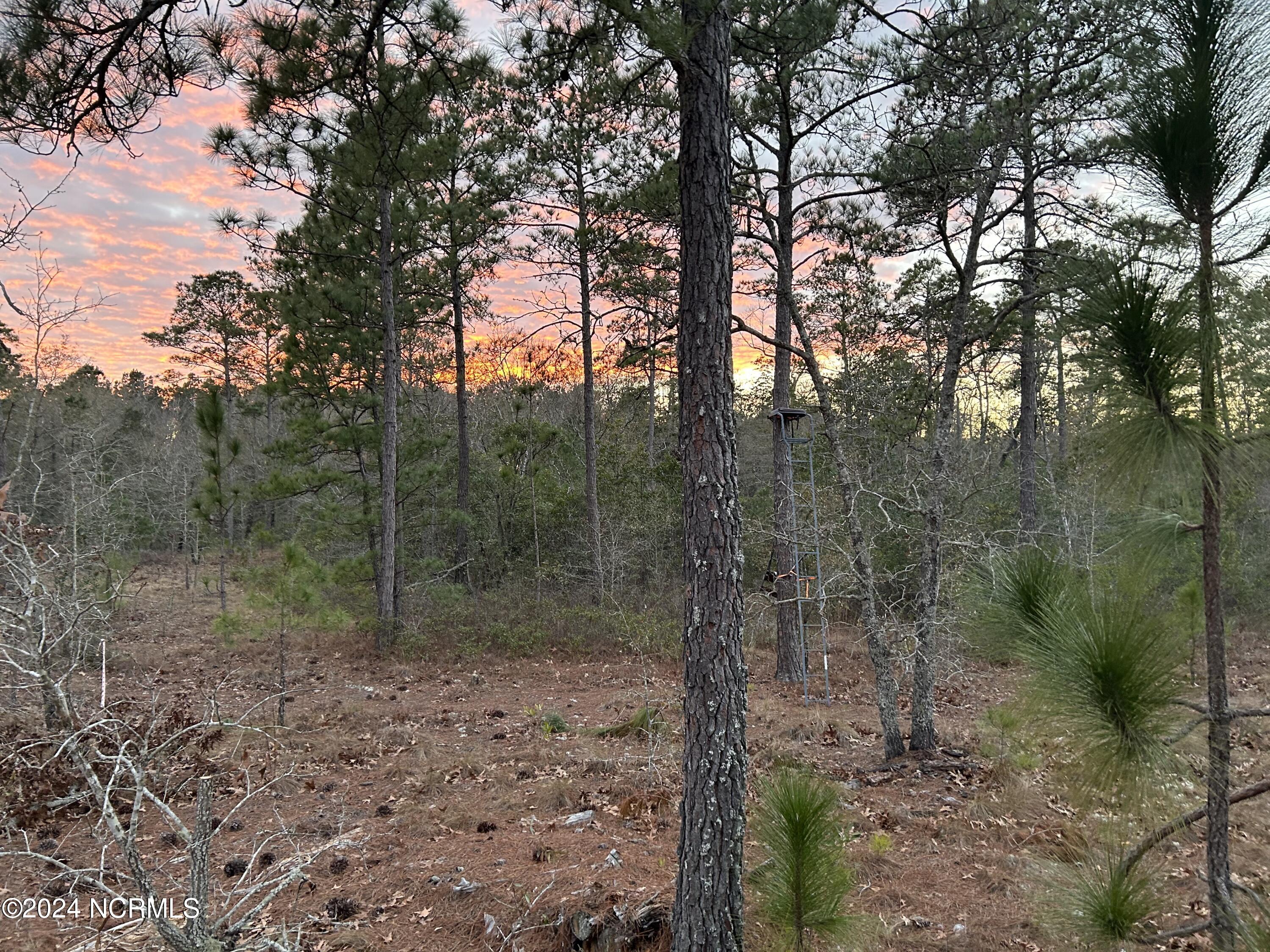 326 Sand Ridge Road Hubert, NC 28539 - Photo 9 of 13 IMG_8053