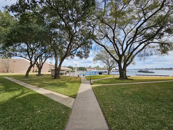 a view of a park with large trees
