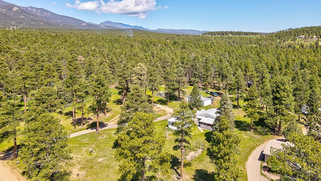 8221 Green Tower Lane Rye, CO 81069 - Photo 35 of 40