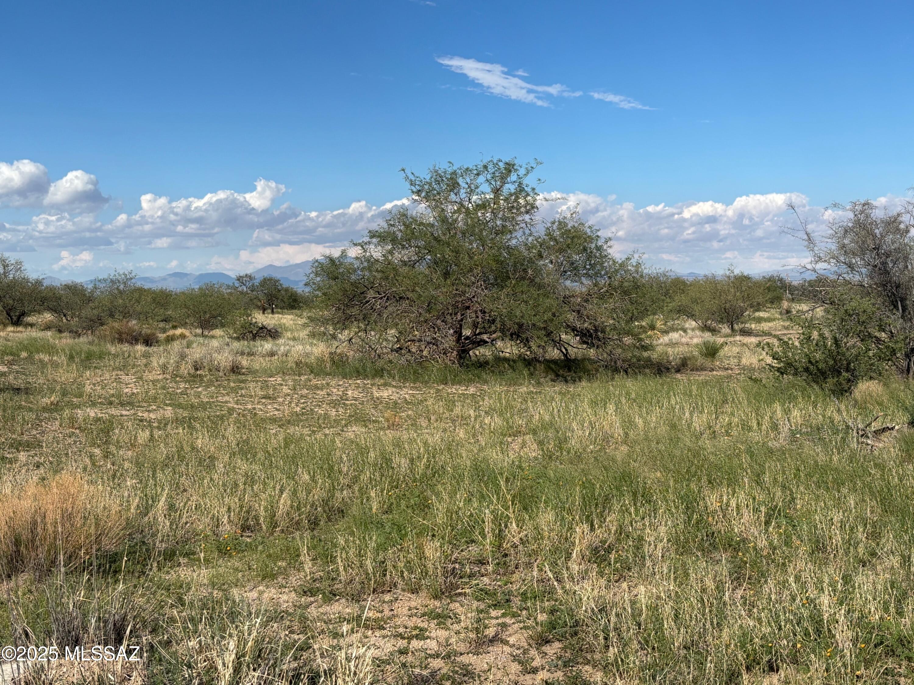 Tbd Bryant Road, Unit 181 Pearce, AZ 85625 - Photo 7 of 33