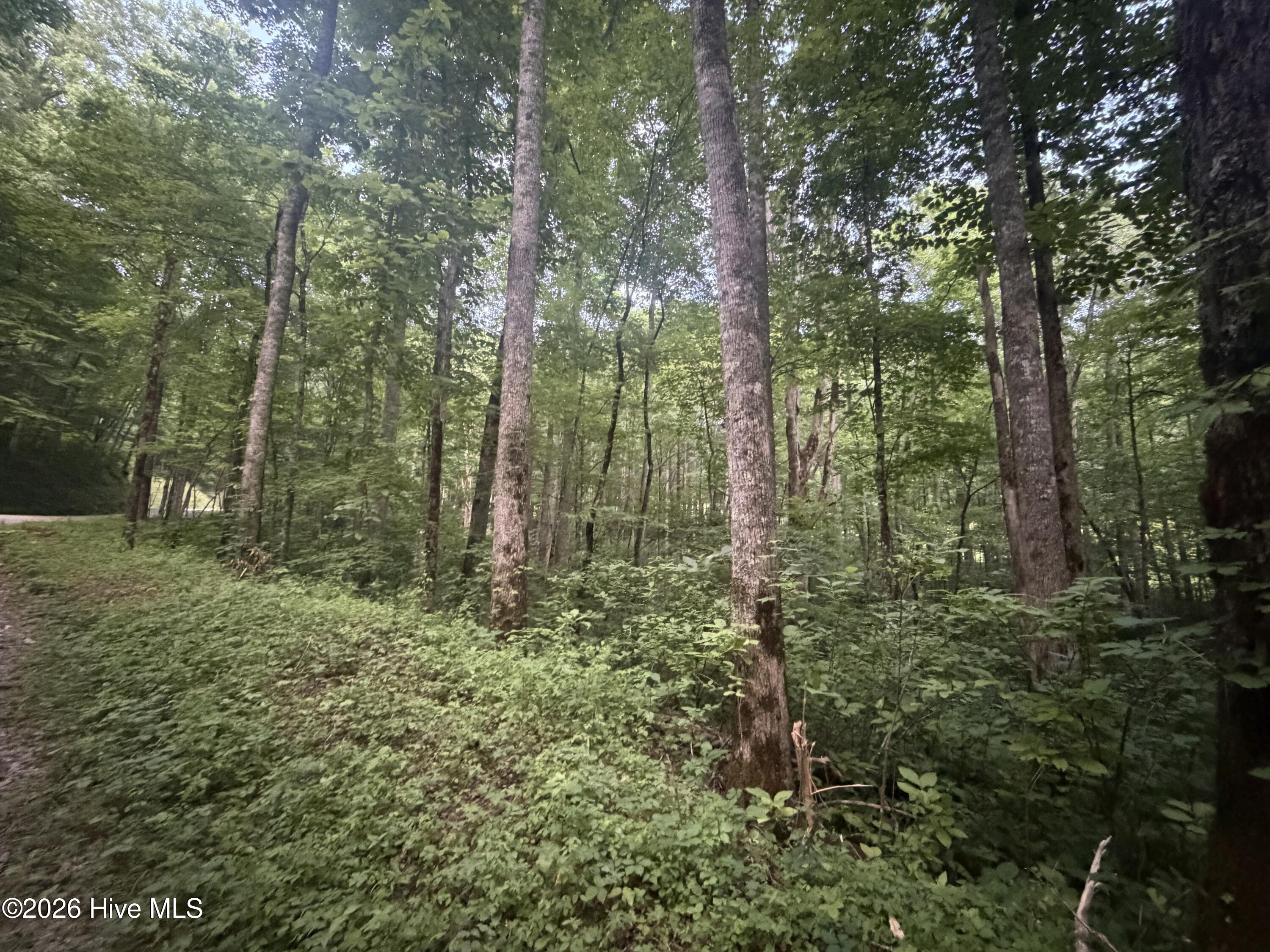 0 Otter Creek Road Topton, NC 28781 - Photo 13 of 20