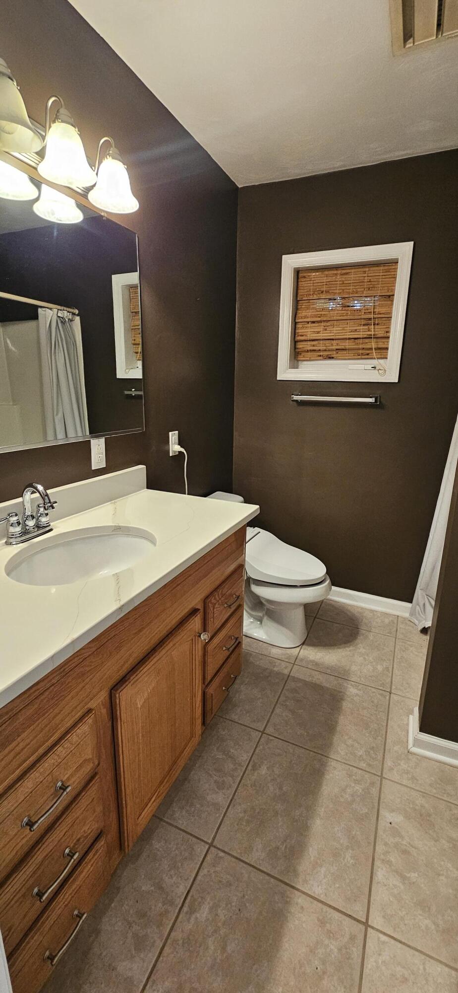 67 Overlook Road Hardy, VA 24101 - Photo 84 of 119 a bathroom with a sink a toilet and mirror