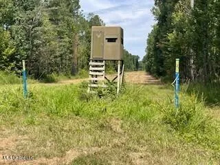 $1,354,000 | Tithelo Rd Road, Canton, MS 39046