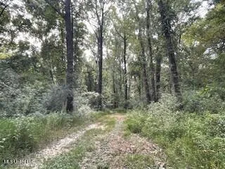 $1,354,000 | Tithelo Rd Road, Canton, MS 39046