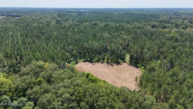 $1,354,000 | Tithelo Rd Road, Canton, MS 39046