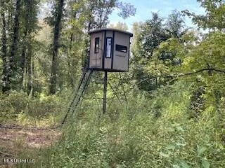 $1,354,000 | Tithelo Rd Road, Canton, MS 39046