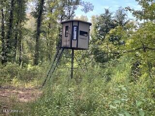 Tithelo Rd Road Canton, MS 39046 - Photo 2 of 15 PHOTO 2