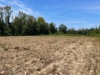 $1,354,000 | Tithelo Rd Road, Canton, MS 39046