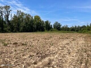 Tithelo Rd Road Canton, MS 39046 - Photo 3 of 15 PHOTO 3