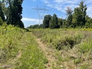 $1,354,000 | Tithelo Rd Road, Canton, MS 39046