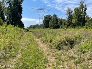 Tithelo Rd Road Canton, MS 39046 - Photo 4 of 15 PHOTO 4