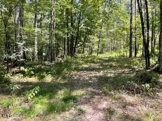 $1,354,000 | Tithelo Rd Road, Canton, MS 39046