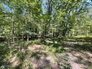 $1,354,000 | Tithelo Rd Road, Canton, MS 39046