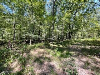 Tithelo Rd Road Canton, MS 39046 - Photo 6 of 15 PHOTO 6