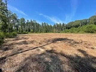 $1,354,000 | Tithelo Rd Road, Canton, MS 39046