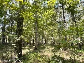 $1,354,000 | Tithelo Rd Road, Canton, MS 39046