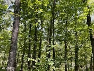 $1,354,000 | Tithelo Rd Road, Canton, MS 39046