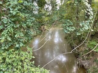 Tithelo Rd Road Canton, MS 39046 - Photo 10 of 15 PHOTO 10