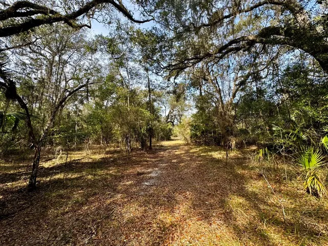 $2,152,800 | 1 62nd Road, Lamont, FL 32336