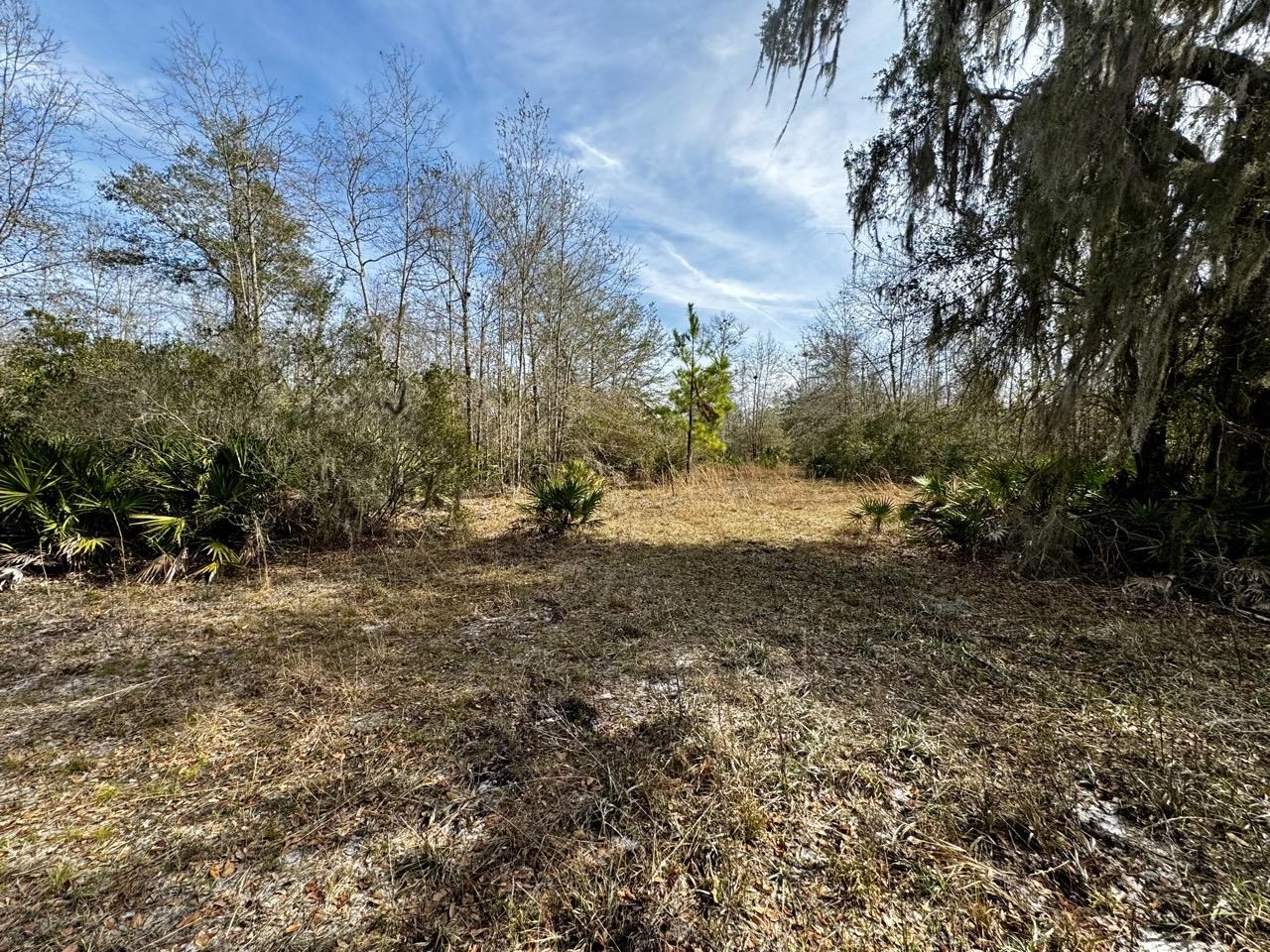 1 62nd Road Lamont, FL 32336 - Photo 13 of 40