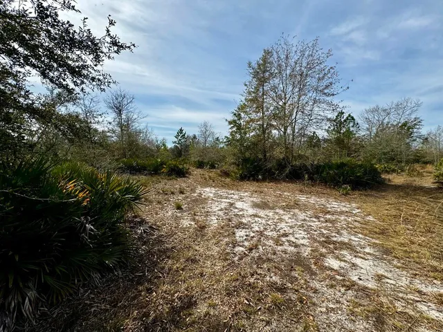 $2,152,800 | 1 62nd Road, Lamont, FL 32336