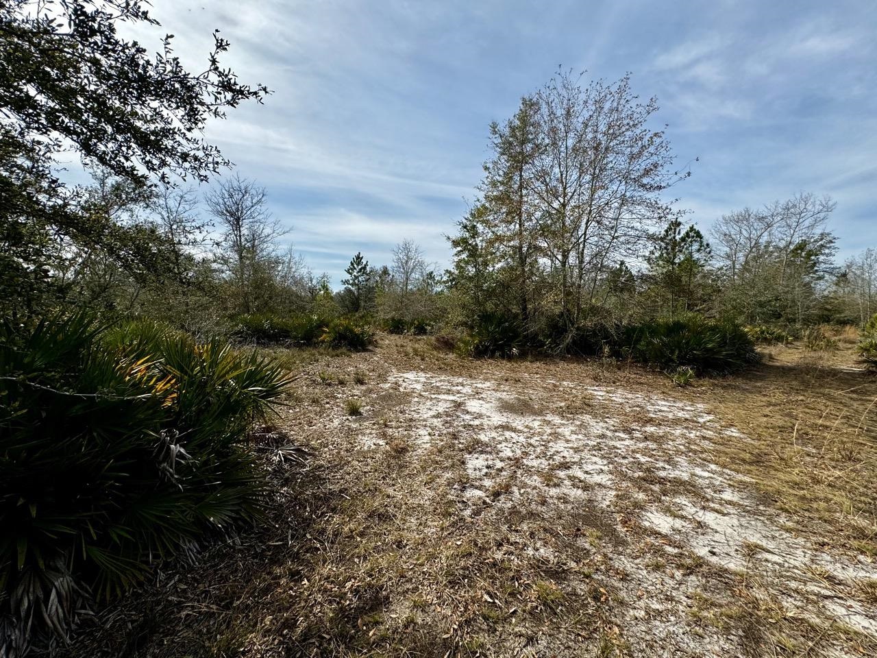 1 62nd Road Lamont, FL 32336 - Photo 15 of 40
