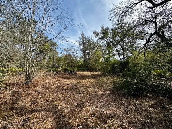 $2,152,800 | 1 62nd Road, Lamont, FL 32336