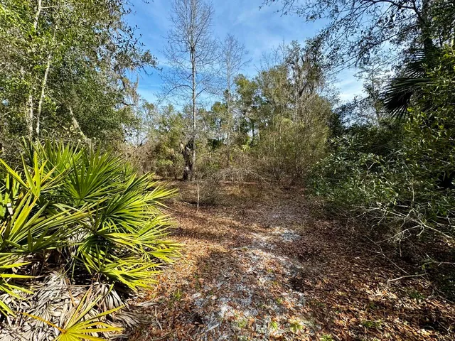 $2,152,800 | 1 62nd Road, Lamont, FL 32336