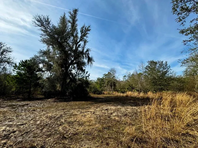 $2,152,800 | 1 62nd Road, Lamont, FL 32336
