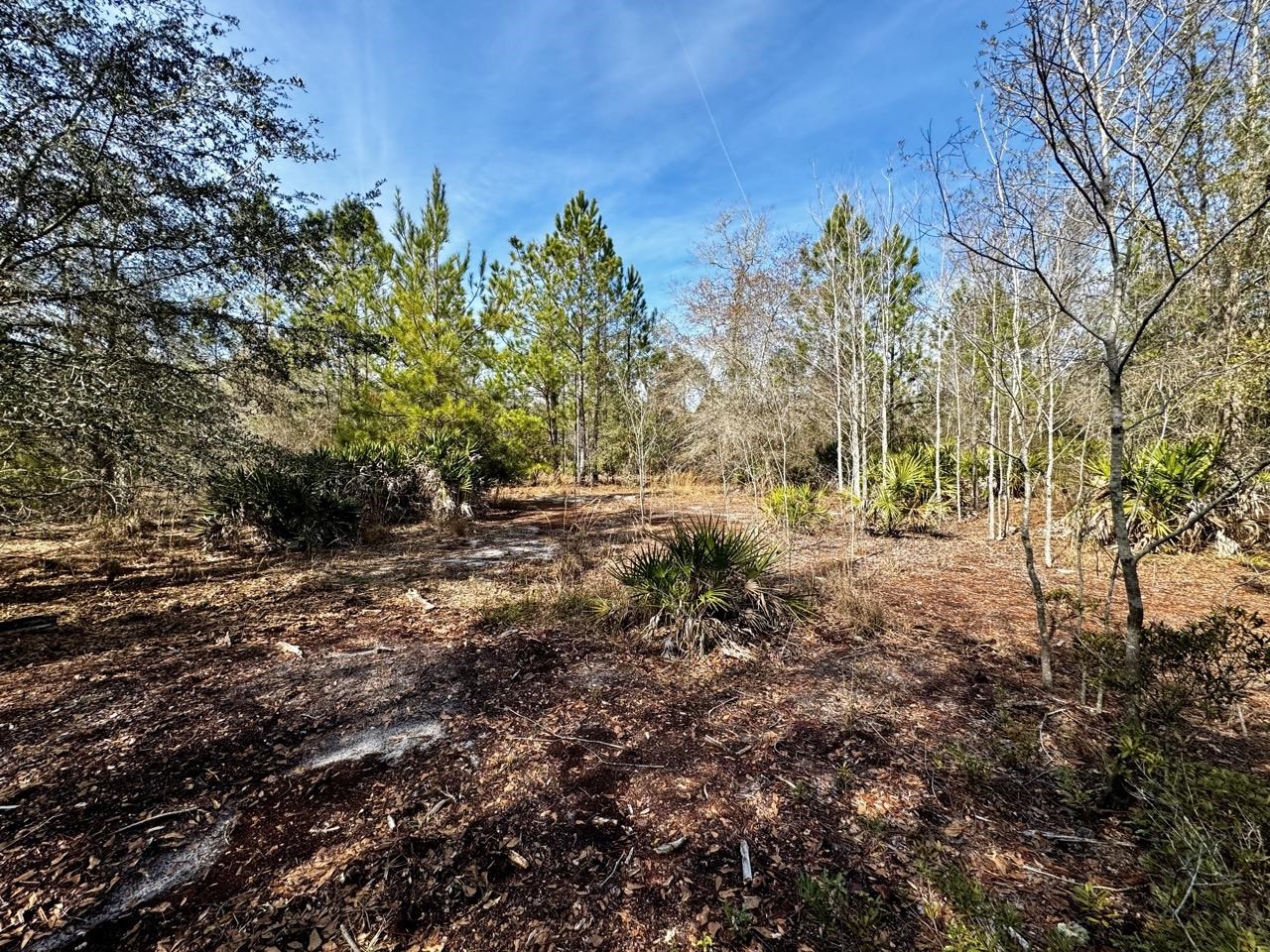 1 62nd Road Lamont, FL 32336 - Photo 21 of 40