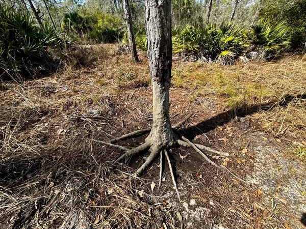 $2,152,800 | 1 62nd Road, Lamont, FL 32336