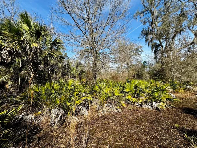 $2,152,800 | 1 62nd Road, Lamont, FL 32336