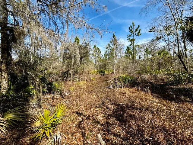 $2,152,800 | 1 62nd Road, Lamont, FL 32336