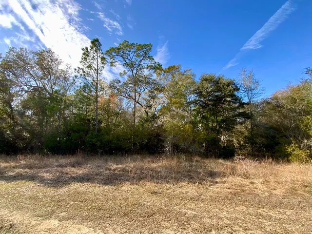 $2,152,800 | 1 62nd Road, Lamont, FL 32336