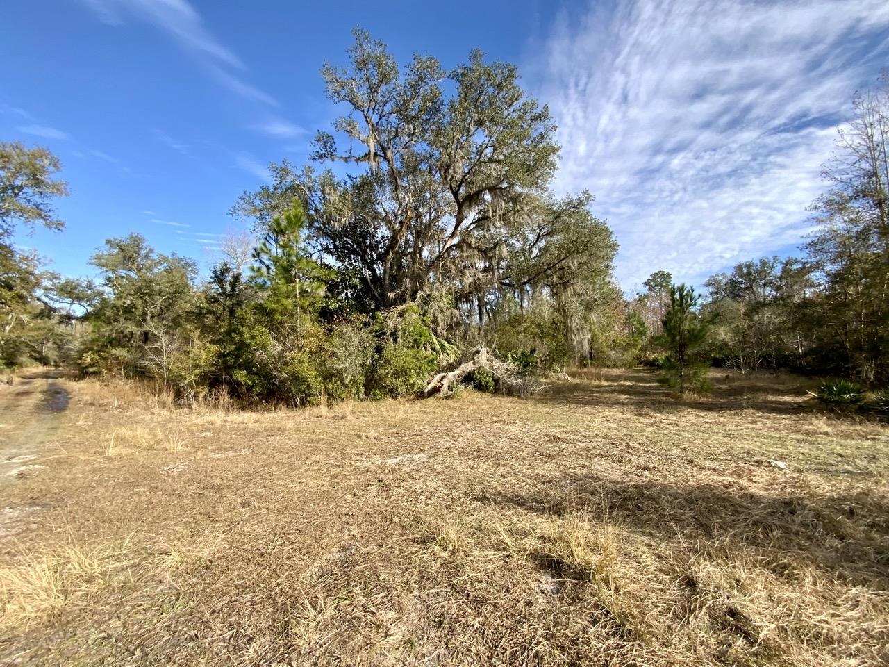 1 62nd Road Lamont, FL 32336 - Photo 26 of 40