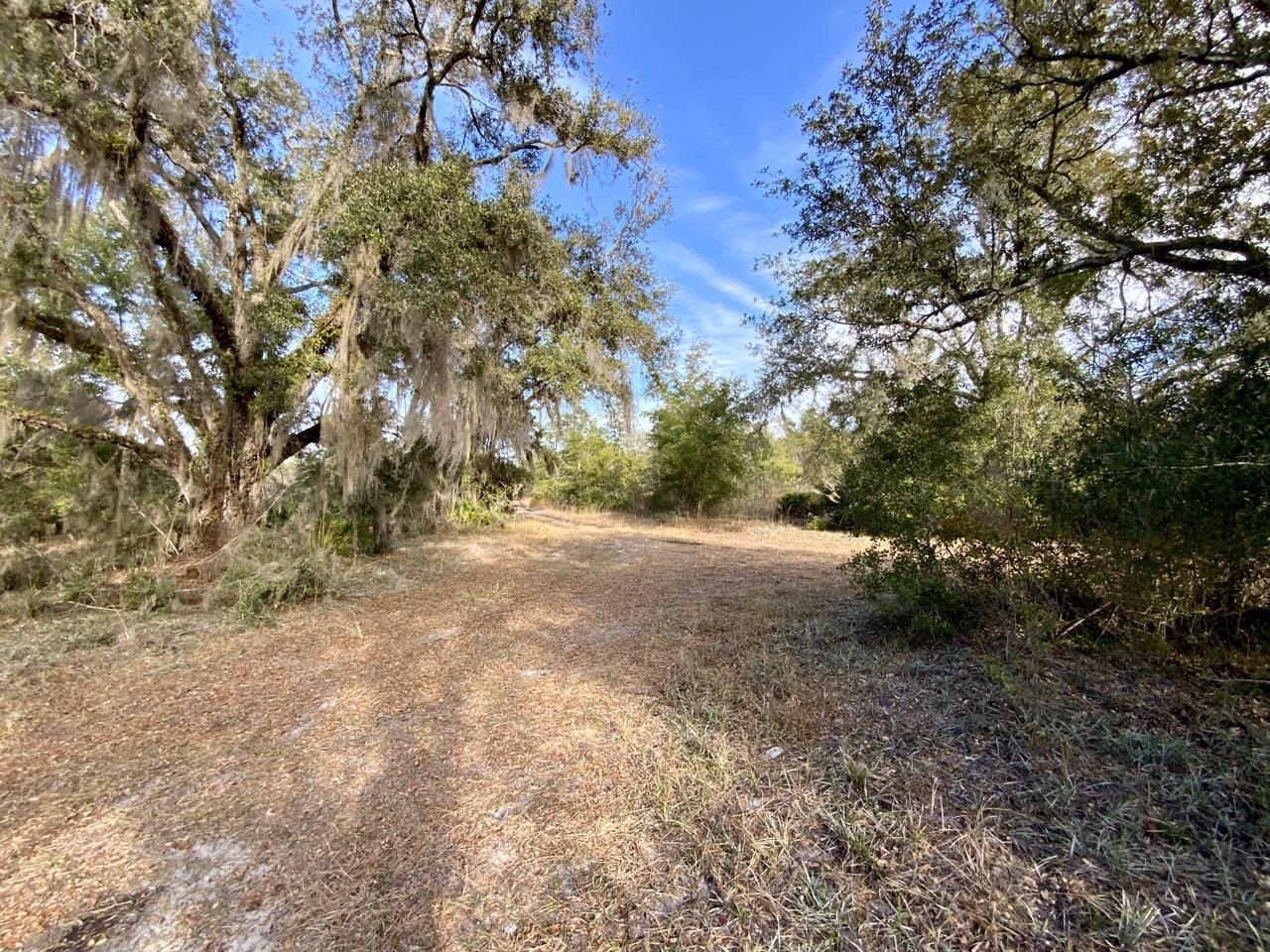 1 62nd Road Lamont, FL 32336 - Photo 27 of 40