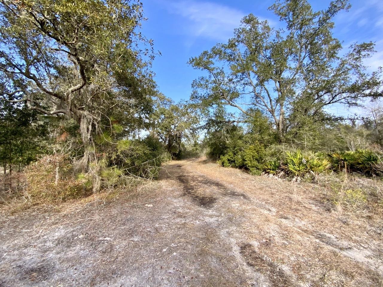 1 62nd Road Lamont, FL 32336 - Photo 28 of 40