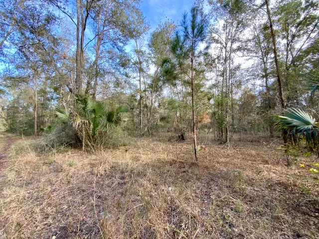 $2,152,800 | 1 62nd Road, Lamont, FL 32336