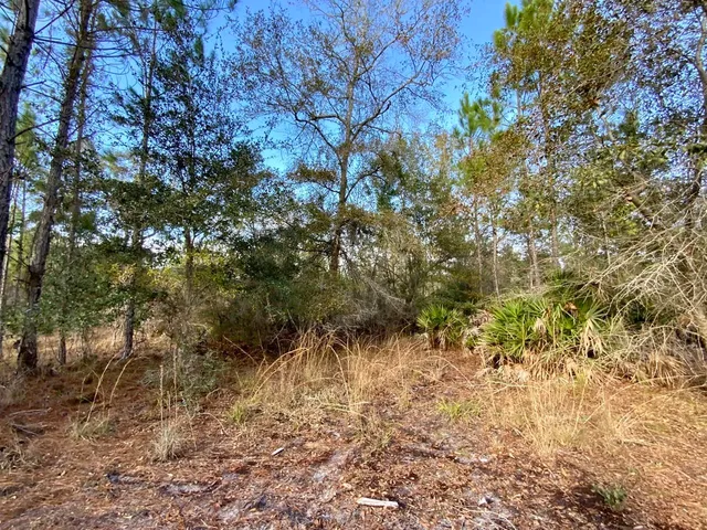 $2,152,800 | 1 62nd Road, Lamont, FL 32336