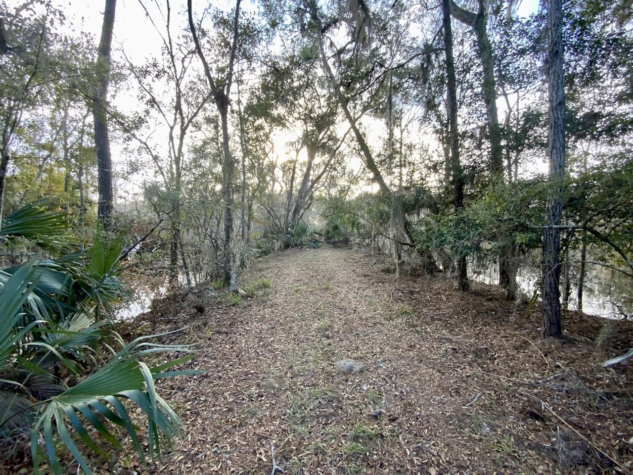 1 62nd Road Lamont, FL 32336 - Photo 32 of 40