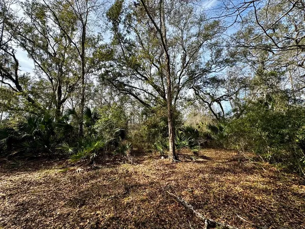 $2,152,800 | 1 62nd Road, Lamont, FL 32336