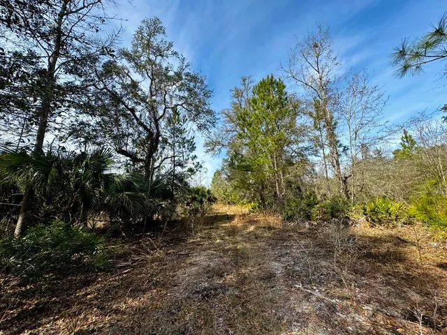 $2,152,800 | 1 62nd Road, Lamont, FL 32336