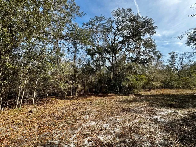 $2,152,800 | 1 62nd Road, Lamont, FL 32336