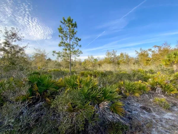 $2,152,800 | 1 62nd Road, Lamont, FL 32336