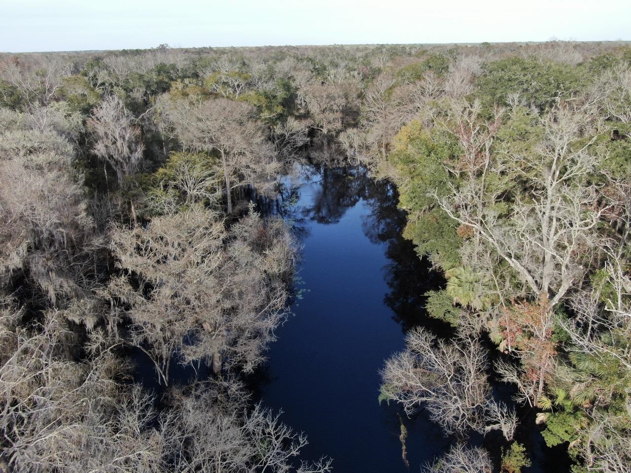 1 62nd Road Lamont, FL 32336 - Photo 4 of 40
