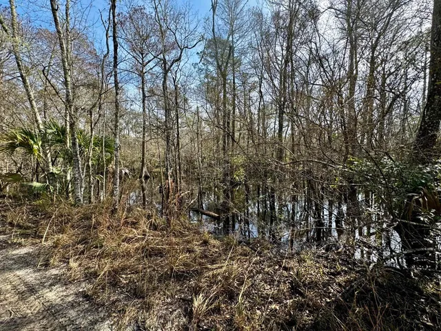 $2,152,800 | 1 62nd Road, Lamont, FL 32336